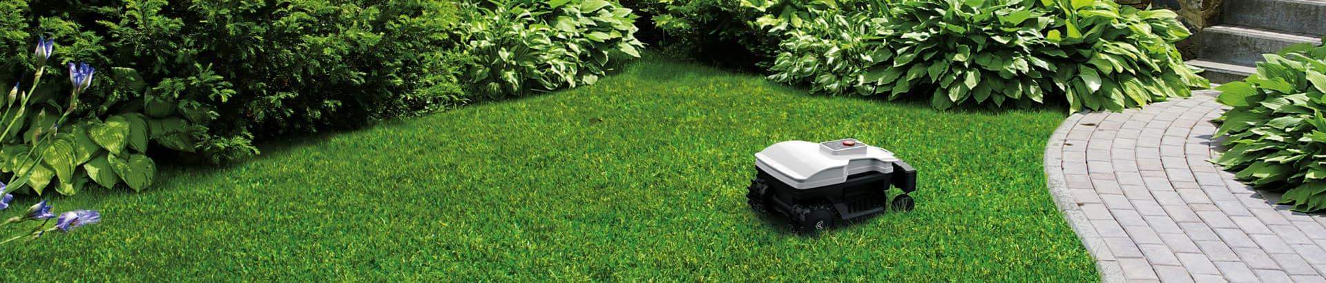 roboty koszące roboty na ogródd